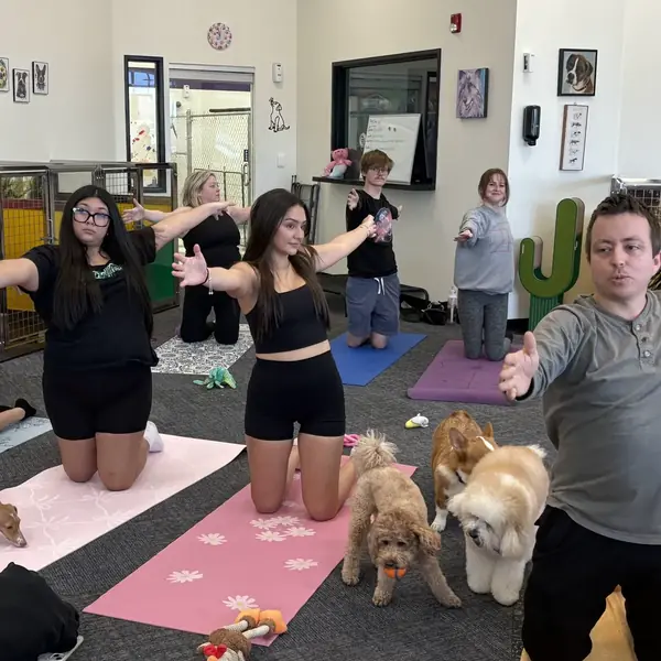 Tiny guest at K9 Rox Club puppy yoga